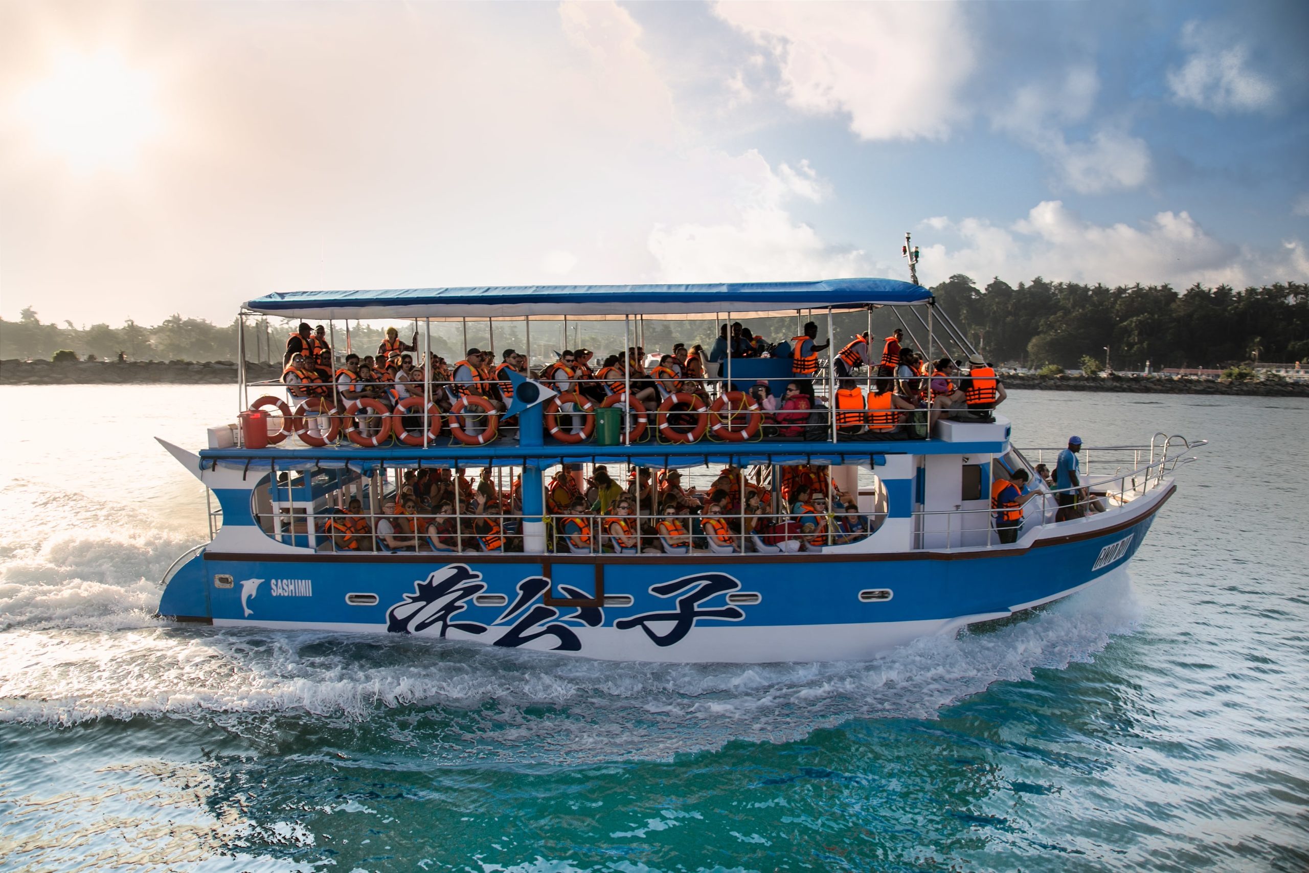 Whale Watching Mirissa