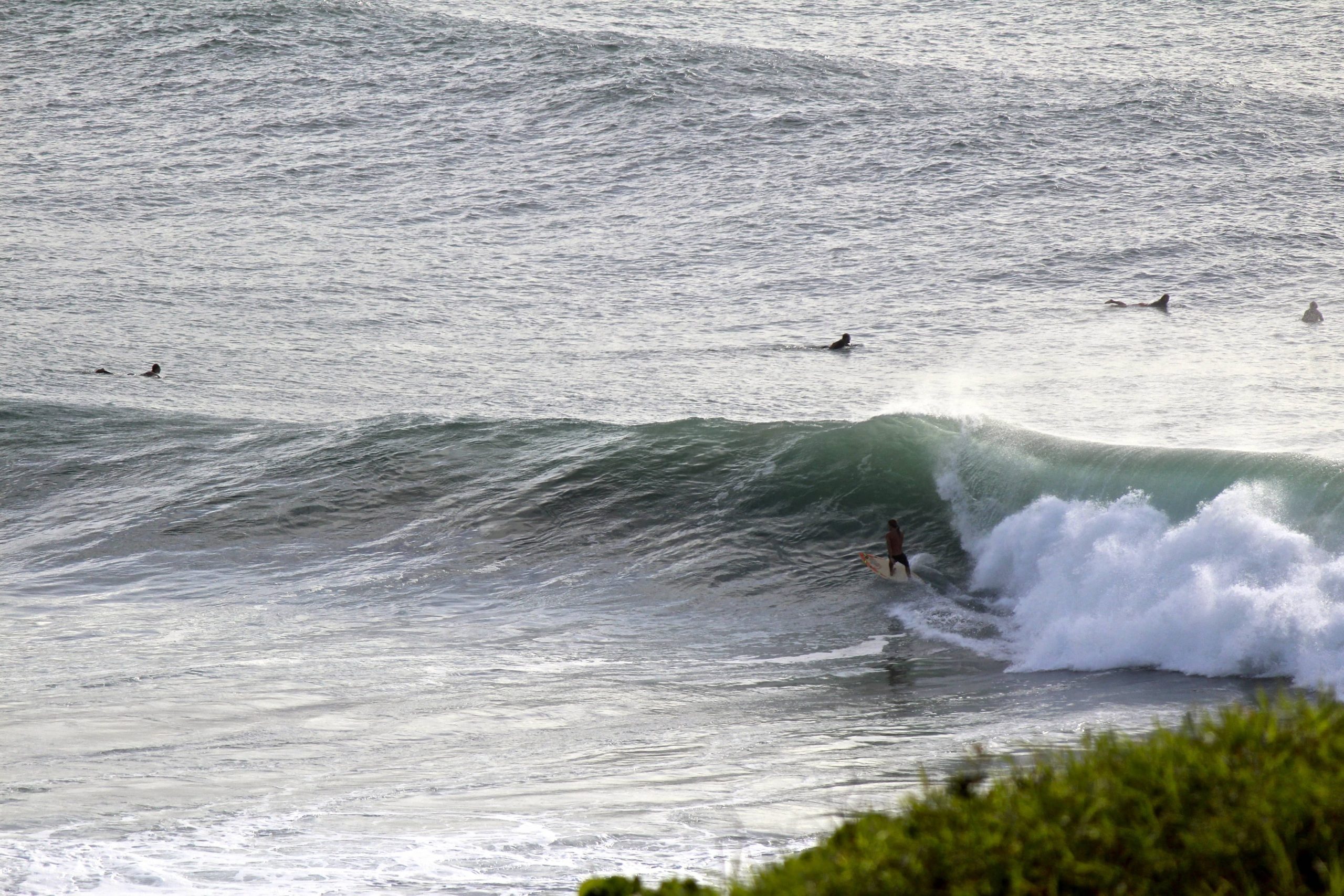 lennox head surf spot in Byron Bay