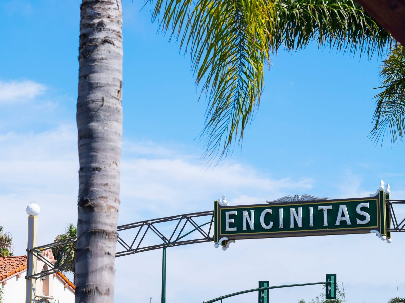 surfing encinitas