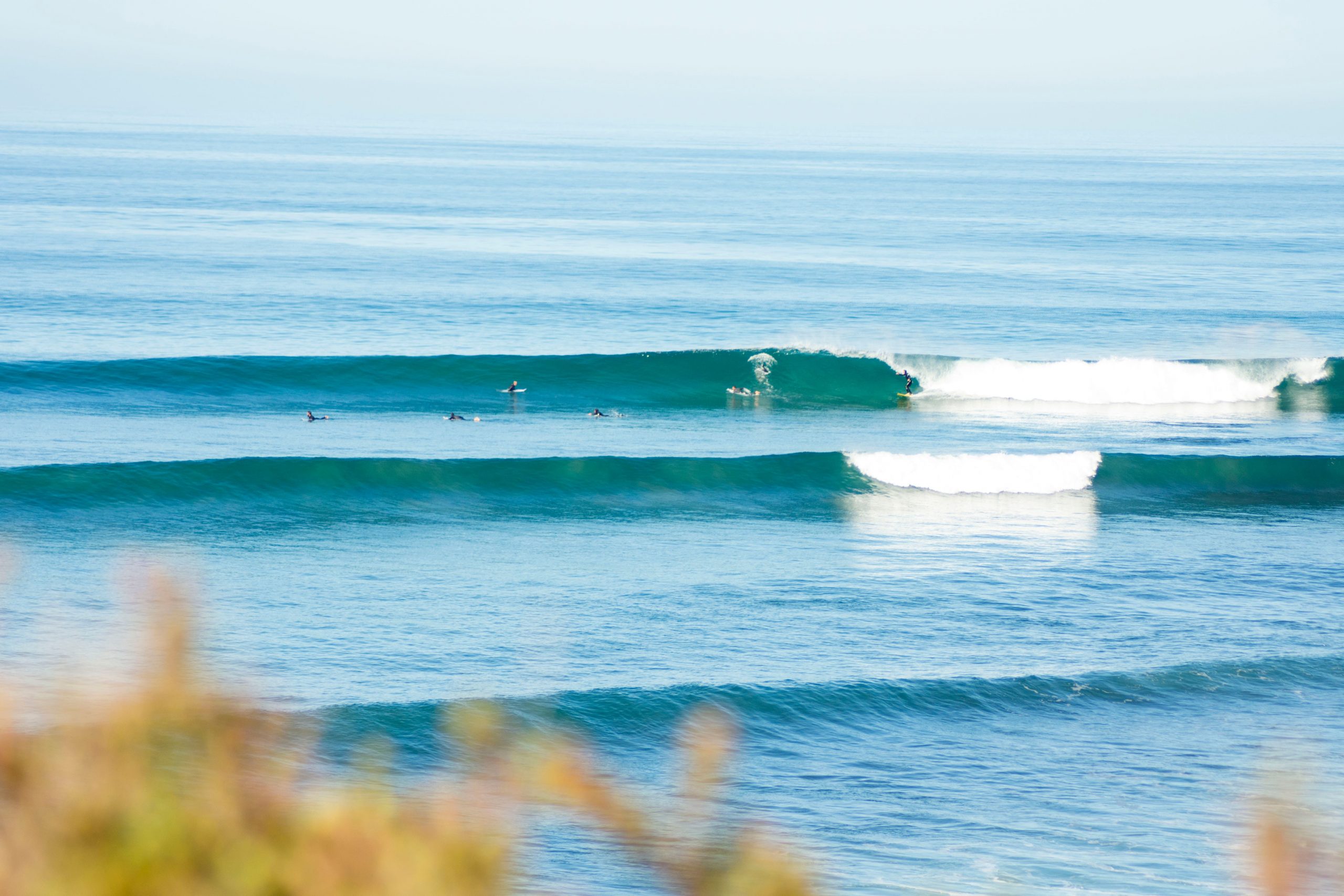 surf sots in Melbourne