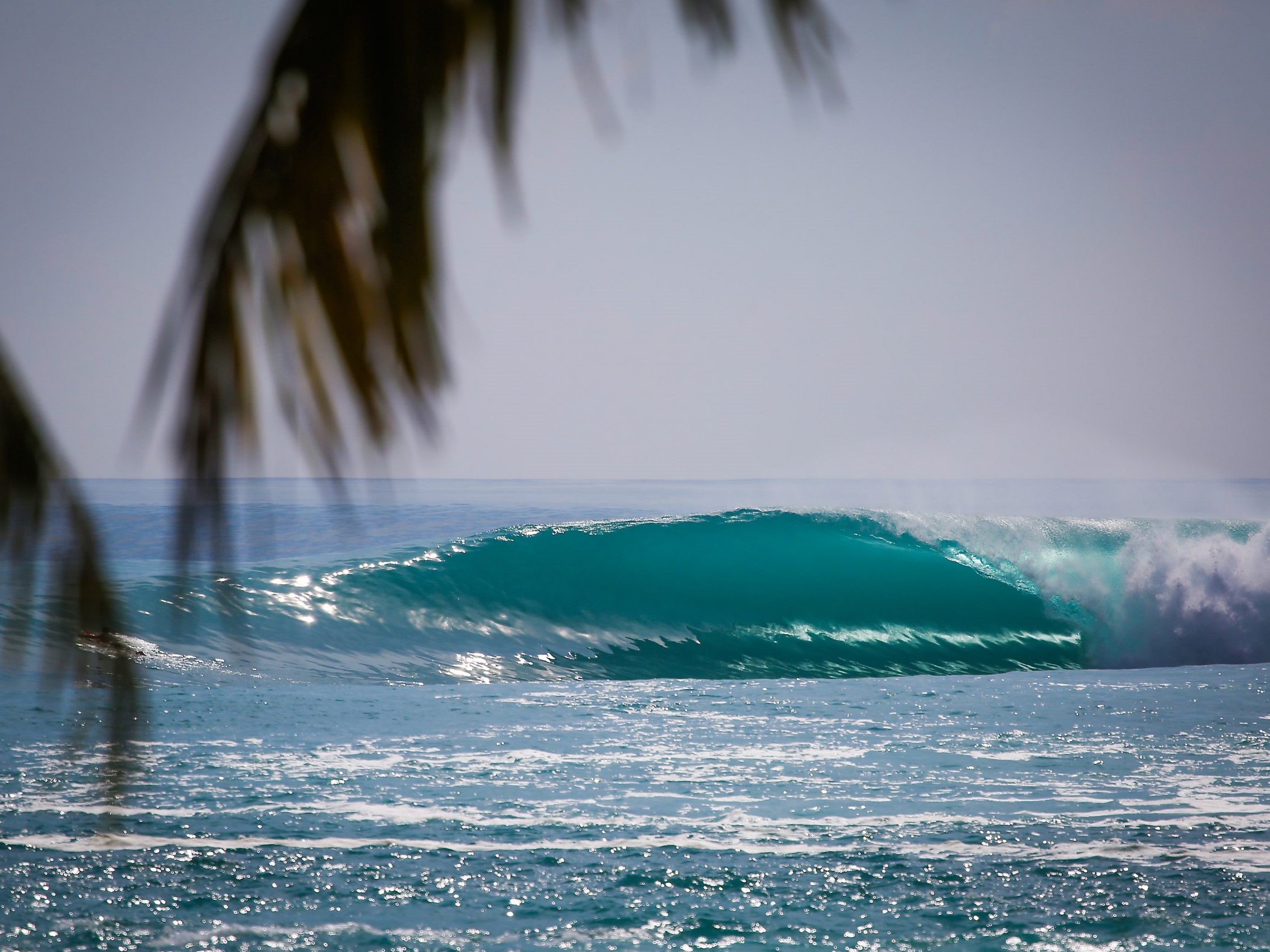 surfing mentawai islands