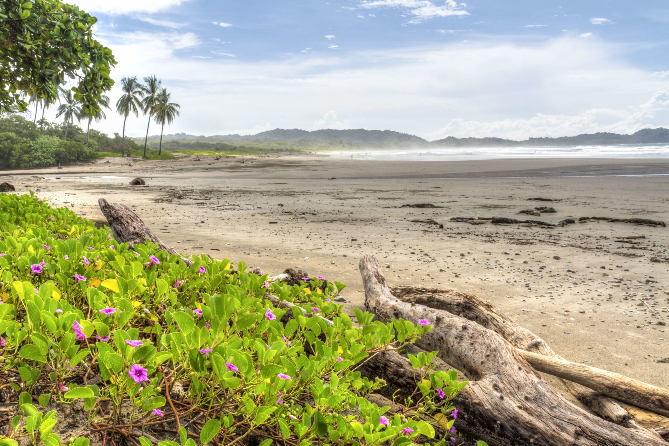 Playa Nosara Surf Spot