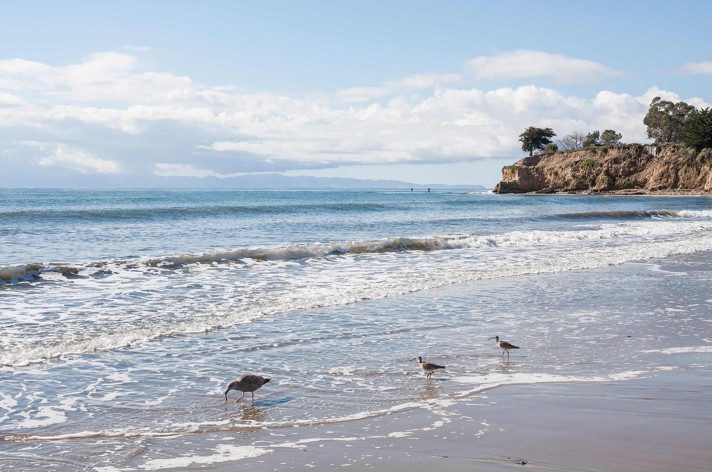 Surfing Santa Barbara - Leadbetter Beach