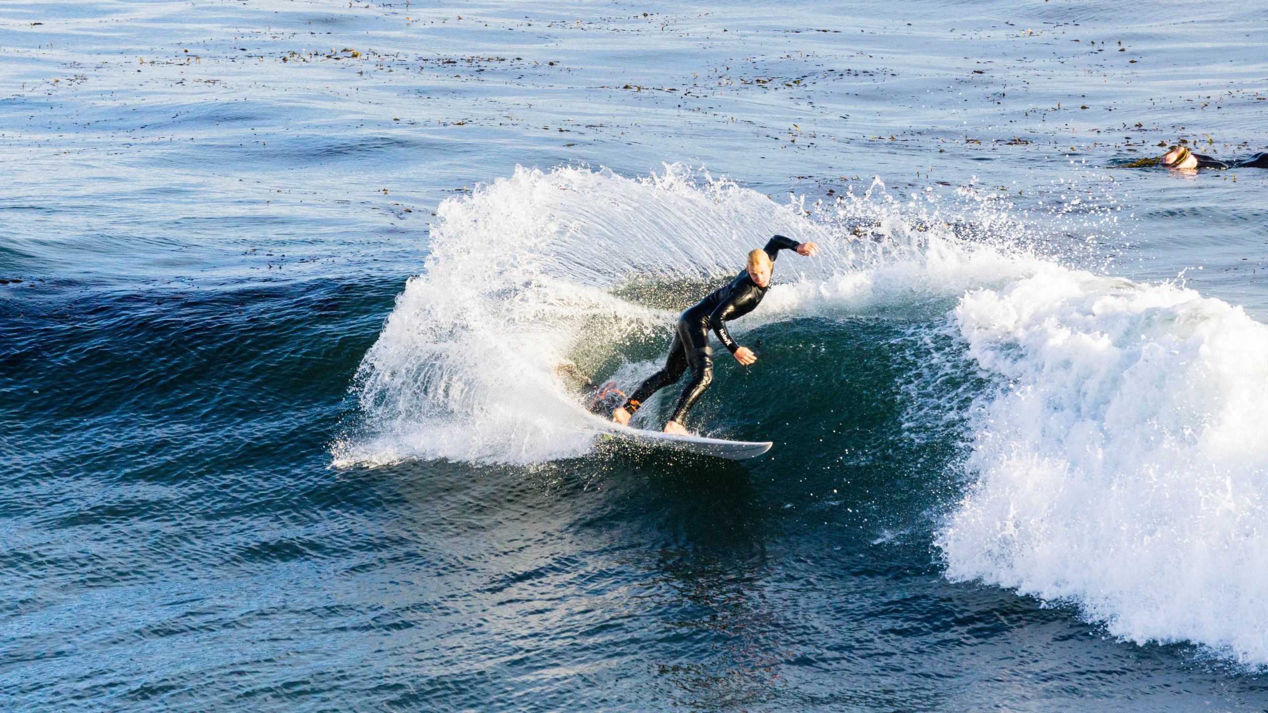 Surfing Santa Cruz - Pleasure Point