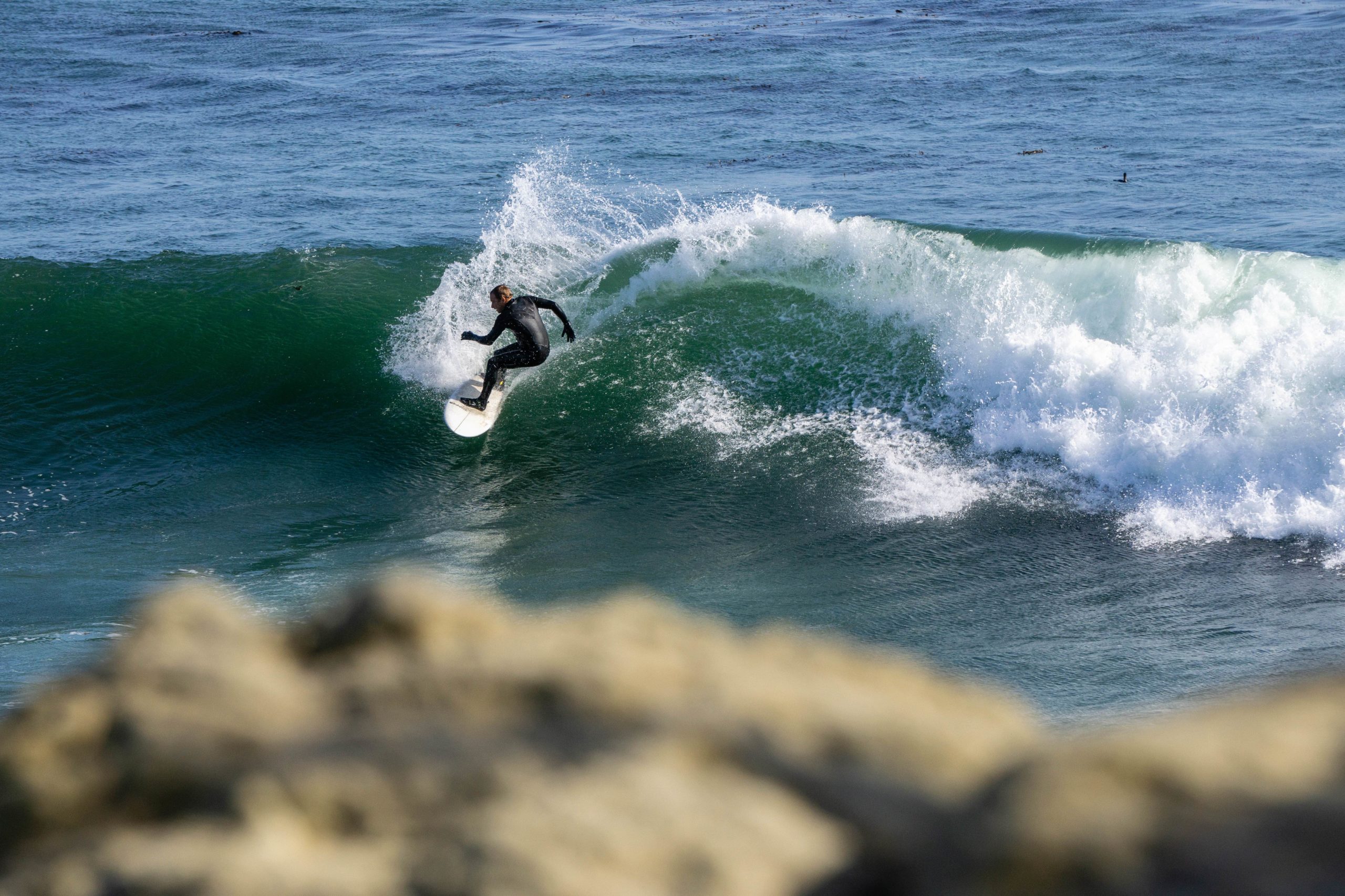 Surfing Santa Cruz - Steamer Lane