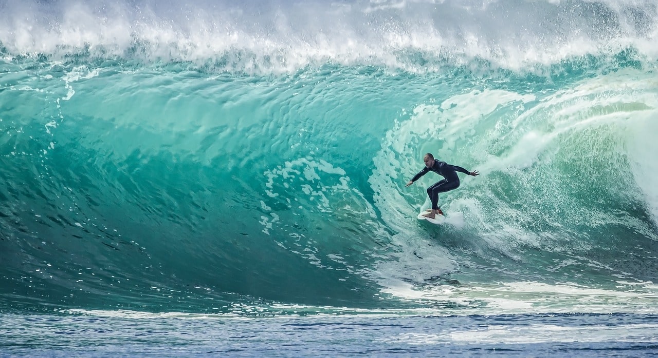 surfing at shark island australia