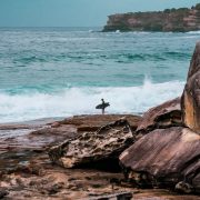 surfing sydney
