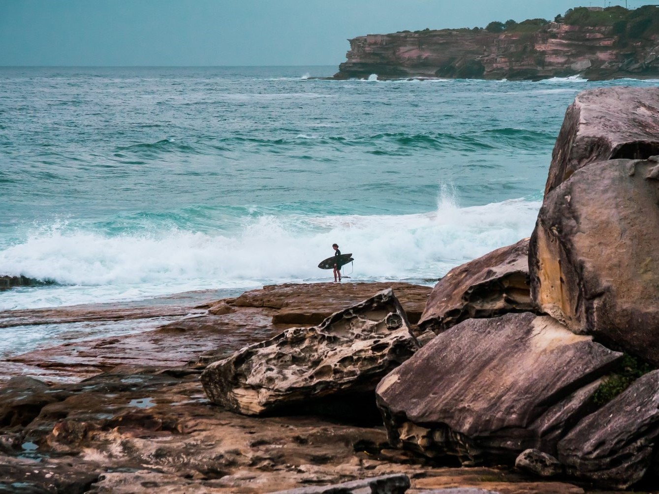 surfing sydney