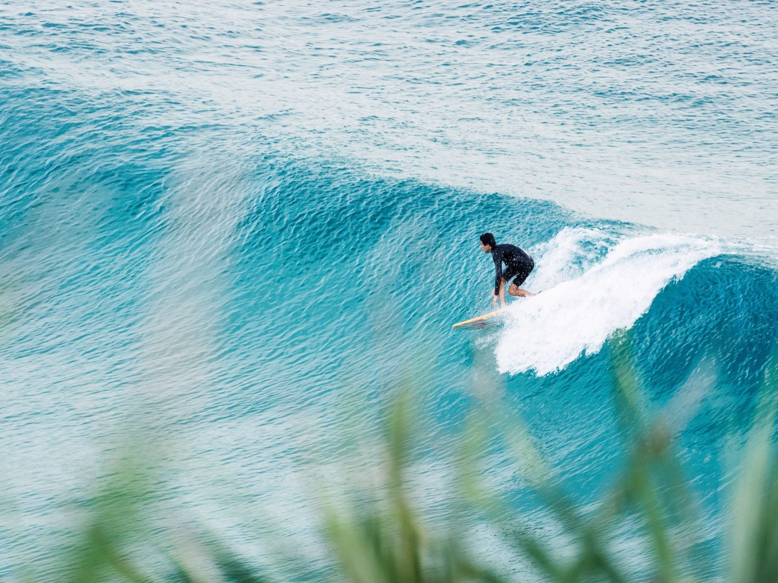 Aussie surfers sense golden opportunity