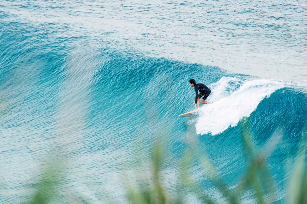 Surfing Melbourne