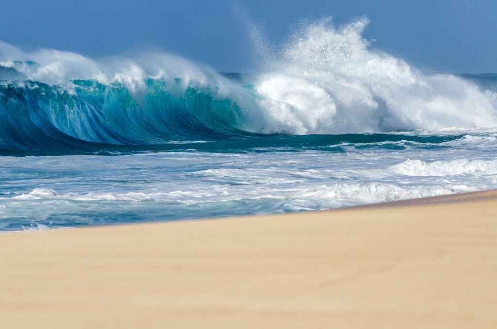 surfing Oahu