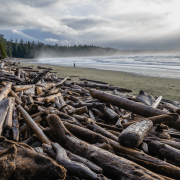 Surfing Tofino
