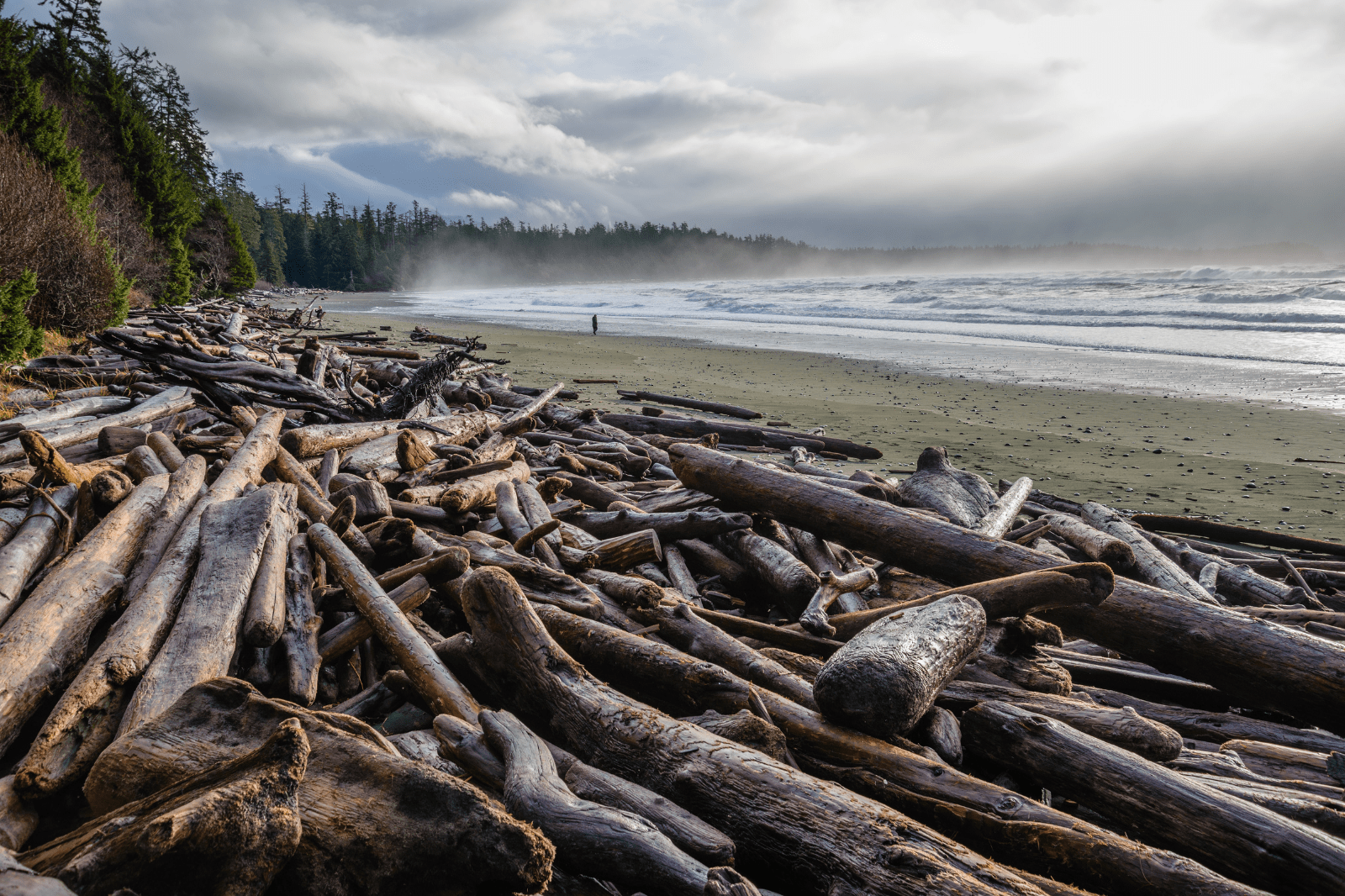 Surfing Tofino